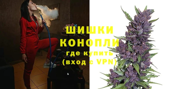 PSILOCYBIN Баксан