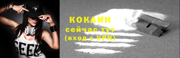 дживик Аркадак