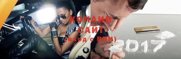 дживик Аркадак