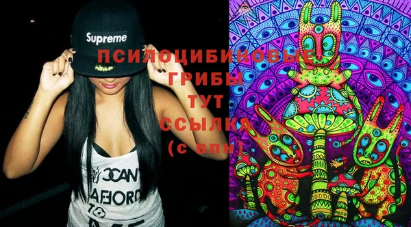 PSILOCYBIN Баксан